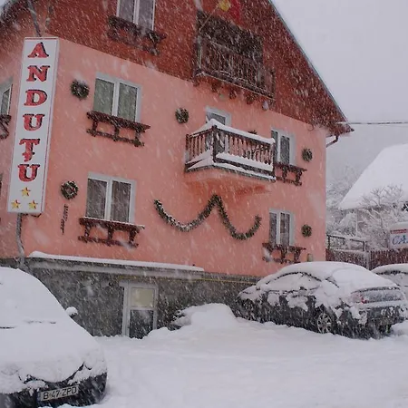 Casa Andutu Buşteni